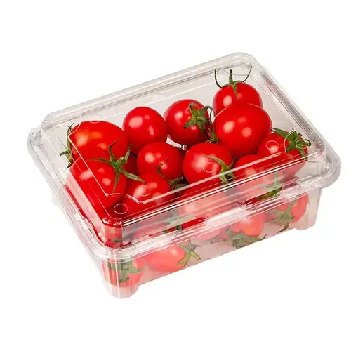PET Fruit Container view 2 — YYD Packaging