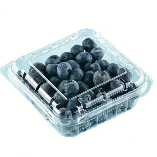 Blueberry Container view 2 — YYD Packaging