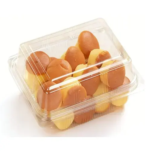 Cake Plastic Container view 2 — YYD Packaging